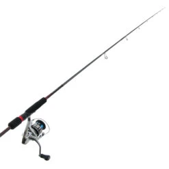 Shimano Stradic FL 2500 HG Sephia BB S83ML Squid Combo 8ft 3in PE0.4-0.8 2pc