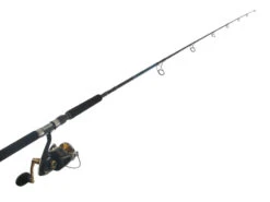 Shimano Stella 14000 SWBXG And Energy Concept Topwater Combo 8ft 3in 70-120g PE3-6 2pc