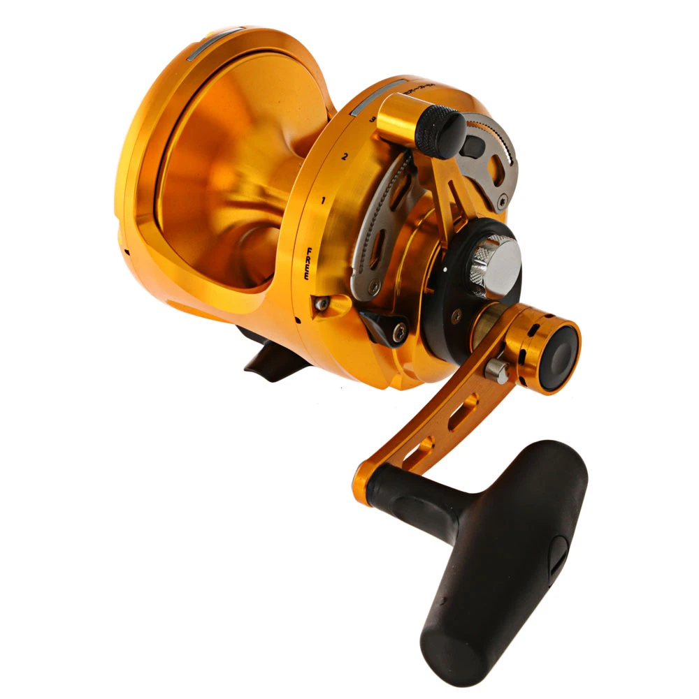 Okuma Makaira Gold 50 2-Speed Open Top Tournament Concept Game Combo 5ft 10in 24-37kg 1pc - Image 4